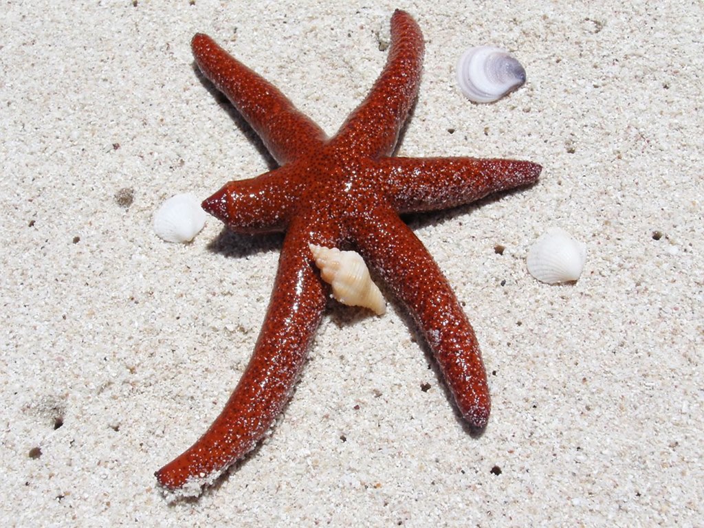 198   Turquise Bay, Australia